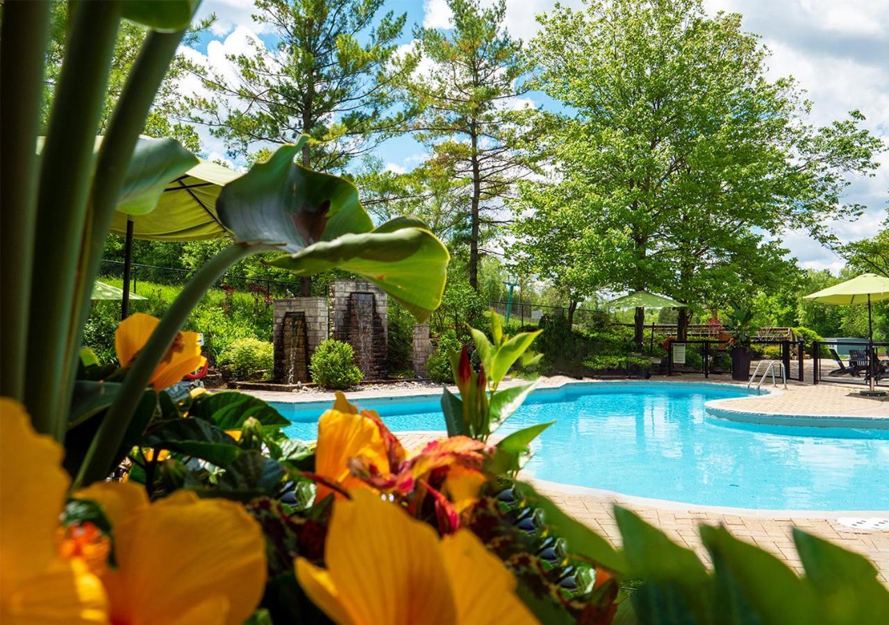 Hockley Valley Resort Orangeville Exteriör bild